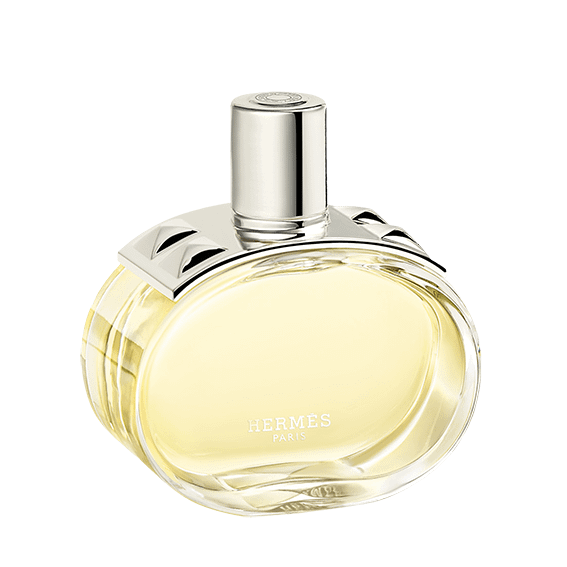 2025_DS_96dpi__0002s_0002_HERMES_BARENIA_EDP